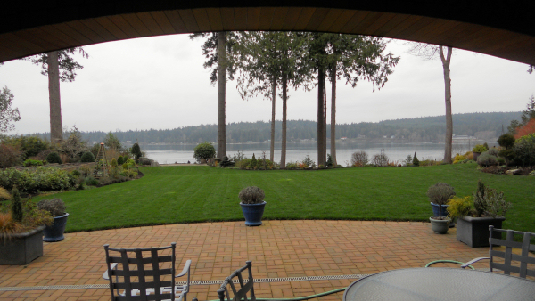 The most relaxing yard ever at Bainbridge Island